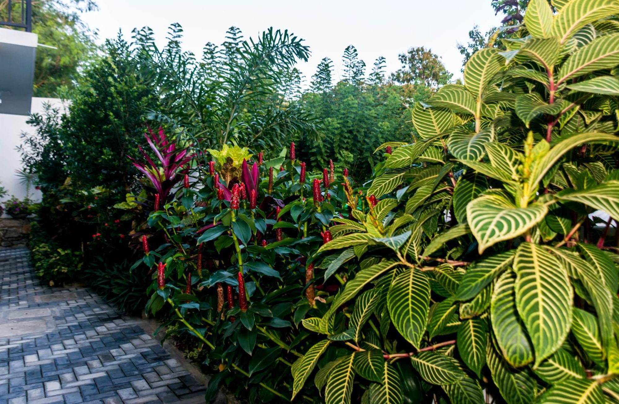 Zodiak Hotel Tangalle Exterior photo